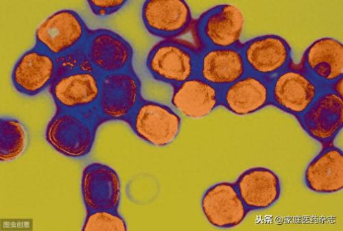 瘟疫排名前十的(老梁说瘟疫72分钟)插图1