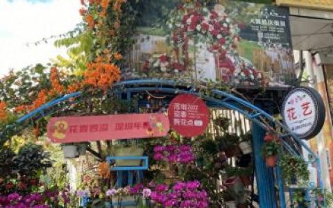 罗湖花店排名前十(罗湖天花店)
