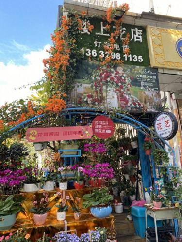 罗湖花店排名前十(罗湖天花店)插图