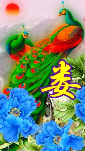 百家姓qq头像(百家姓头像大全真实图)插图93