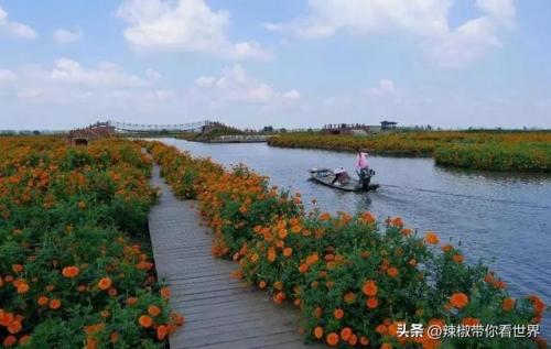 泰州古迹景点排名前十(泰州人文景点排名前十)插图62