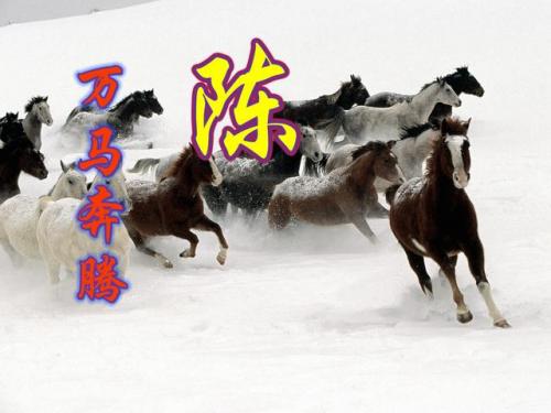 百家姓qq头像(百家姓头像大全真实图)插图22