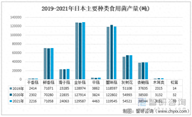 日本蘑菇排名前十(日本蘑菇多少钱一个)插图1