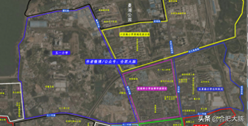 杏林小学排名前十(杏林最好小学排名)插图6