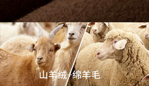 十大大衣排名前十(哪个牌子大衣最好看)插图15