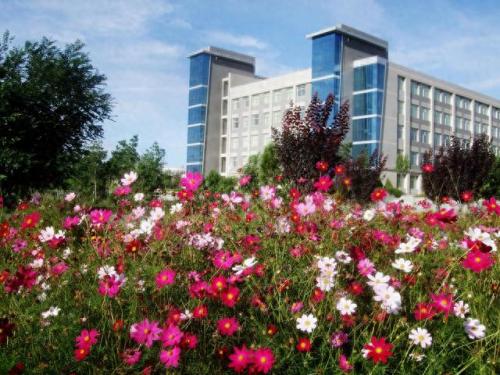宁夏师范学院校园网(宁夏银川滨河新区幼儿师范学校)插图2