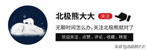 杨野花(农村各种野草)插图