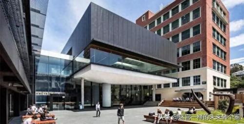 新西兰五星级大学排名前十(新西兰知名大学排行榜)插图2