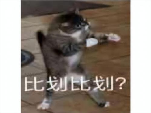 疾风之刃为什么不火(疾风之刃)插图