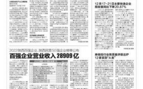 陕西排名前十民企(陕西十大民企排名)