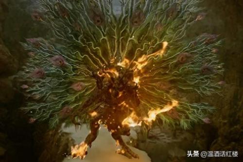 曾舜晞和吴磊(吴磊)插图13