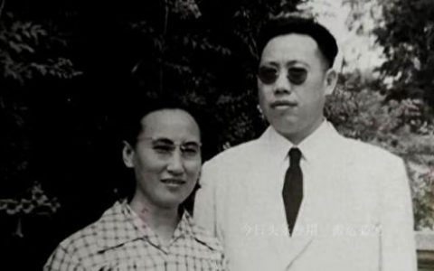 李作鹏子女(李作鹏电视剧全集)