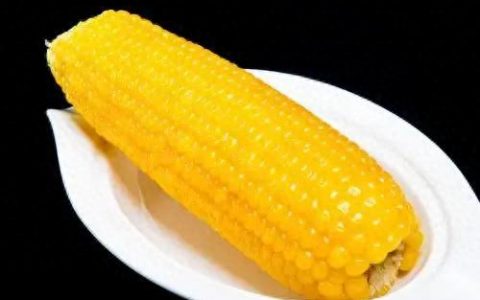糯玉米排名前十(排名第一的糯玉米)