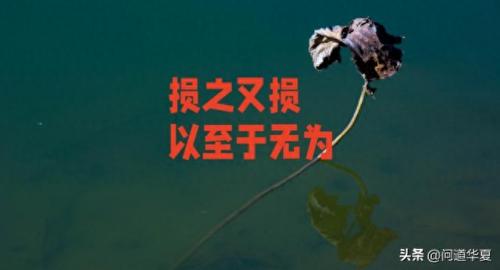 玄学论坛(玄学吧贴吧)插图6