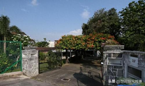 嫁给法定监护人(女婿是法定监护人吗)插图4