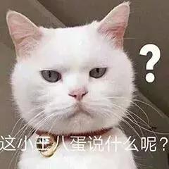 天龙八部扎龙(天龙八部)插图4