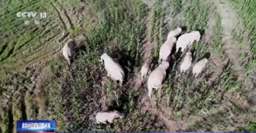 康平连锁食堂排名前十(社区食堂排名前十)插图3