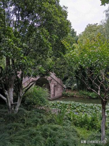 杭州市临平区街道排名前十(临平区街道划分图)插图5