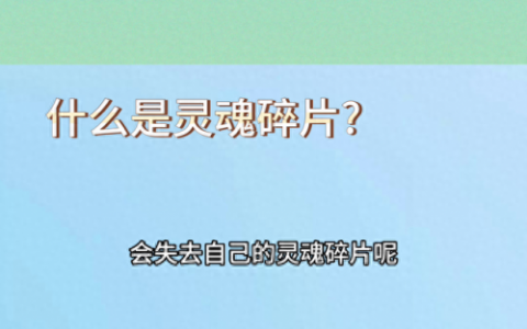 灵魂碎片(灵魂碎片是什么意思)