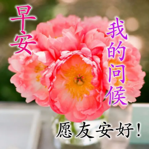 前路漫漫雨纷纷谁在痴痴等(前路漫漫雨纷纷完整版原唱)插图3