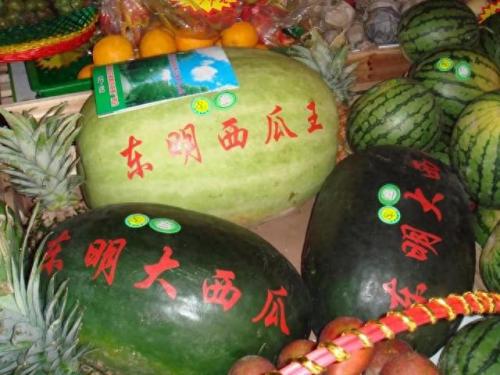 东明景区排名前十(菏泽东明县景点排名前十)插图9