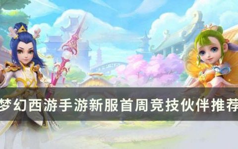 梦幻西游手游新服首周竞技伙伴怎么选(佛门竞技伙伴搭配)