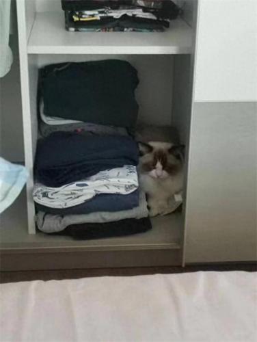 昌平保洁排名前十(丰台保洁排名前十)插图22