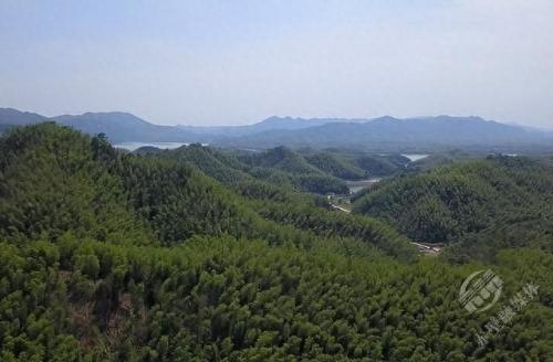 内蒙古优质竹地板排名前十(山友竹地板室内价格表)插图1