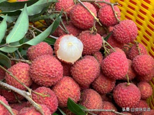 中国荔枝产地(中国荔枝产地分布图)插图6