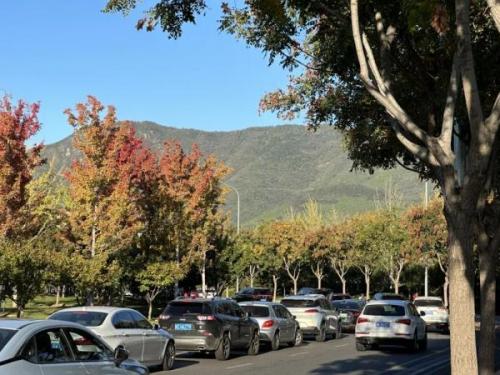 红叶香山在什么地方(香山红叶在哪看最佳)插图15