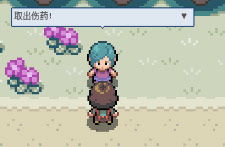 pokemmo关都攻略(pokemmo)插图4