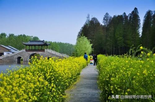 泰州古迹景点排名前十(泰州人文景点排名前十)插图14