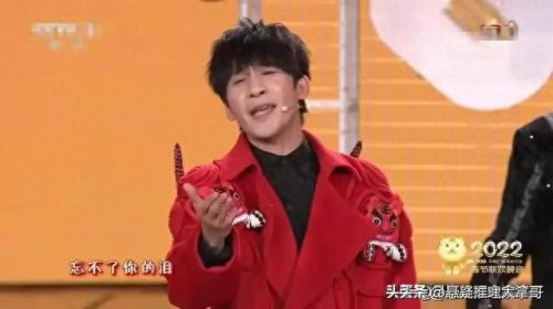 央视春晚2022节目单(2022年春节联欢晚会)插图15
