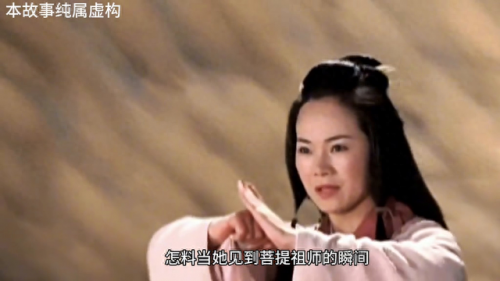 武林外传西游乱记(武林外传西游乱纪拍流星)插图