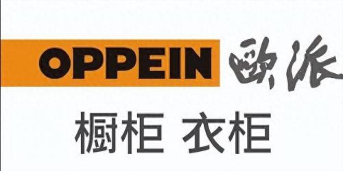 翔安橱柜排名前十(丽博橱柜全国排名)插图