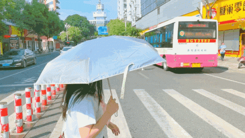 排名前十的伞(雨伞推荐)插图