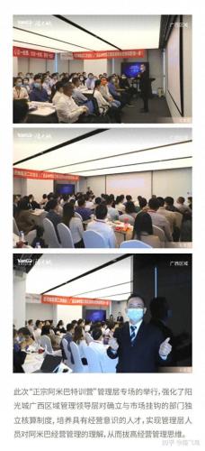 广西地产排名前十(广西十大地产排名)插图15