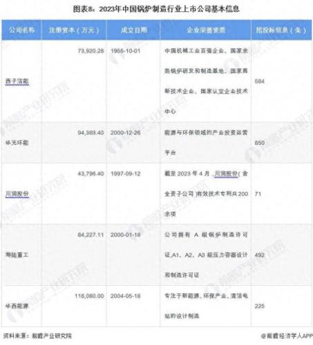 中国锅炉排名前十(锅炉质量排行榜)插图7