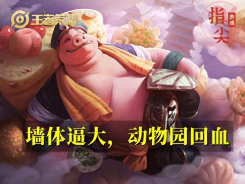 阿骨朵怎么玩(kpl暖阳阿骨朵)插图5