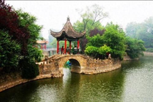 广陵区宠物医院排名前十(广陵宠物医院人气推荐)插图12