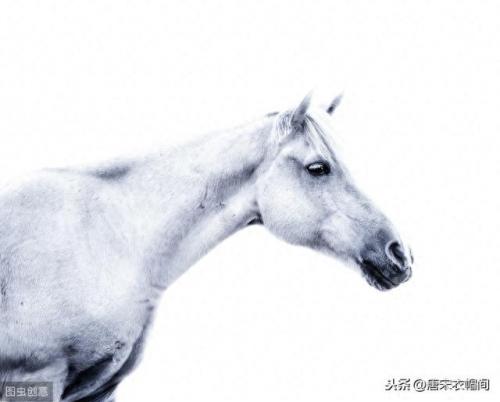 白马非马的错误(白马非马的逻辑问题)插图6