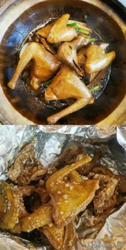 鸽子销售排名前十(鸽子直播销售第一名)插图1