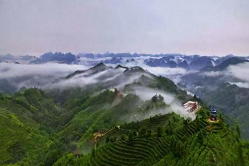 广西排名前十高山(广西高山排名一览表)插图3