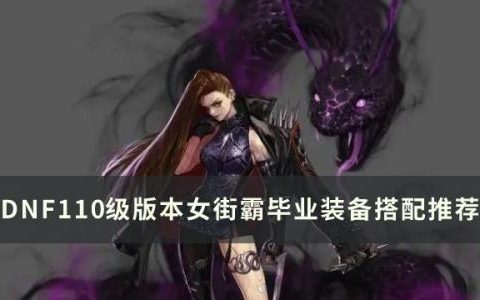 dnf100级女街霸毕业装备怎么搭配(dnf 100级女街霸毕业装备)