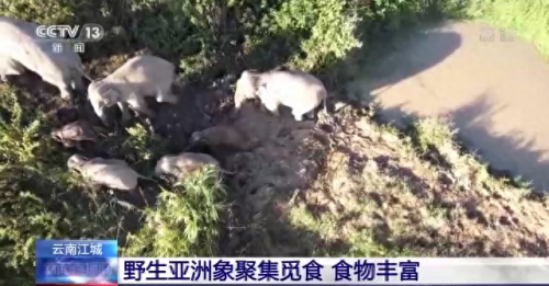 康平连锁食堂排名前十(社区食堂排名前十)插图6
