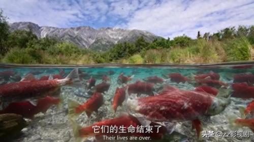 外国豆瓣排名前十(豆瓣排名前十华语专辑)插图10