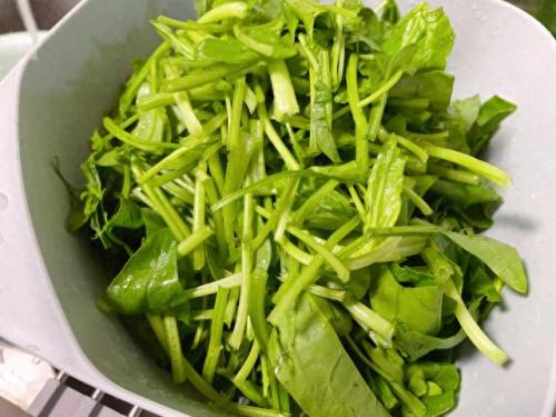 难吃青菜排名前十(减肥青菜排名前十名)插图3
