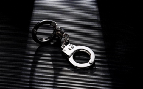 国际刑警红色通缉令(蒋基芳红色通缉令)