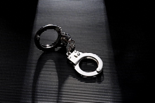 国际刑警红色通缉令(蒋基芳红色通缉令)插图