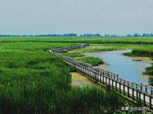 东营景点排名前十(东营著名景点)插图14